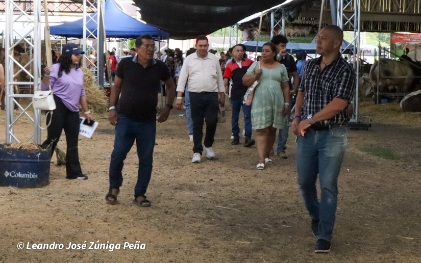 Feria--(34)