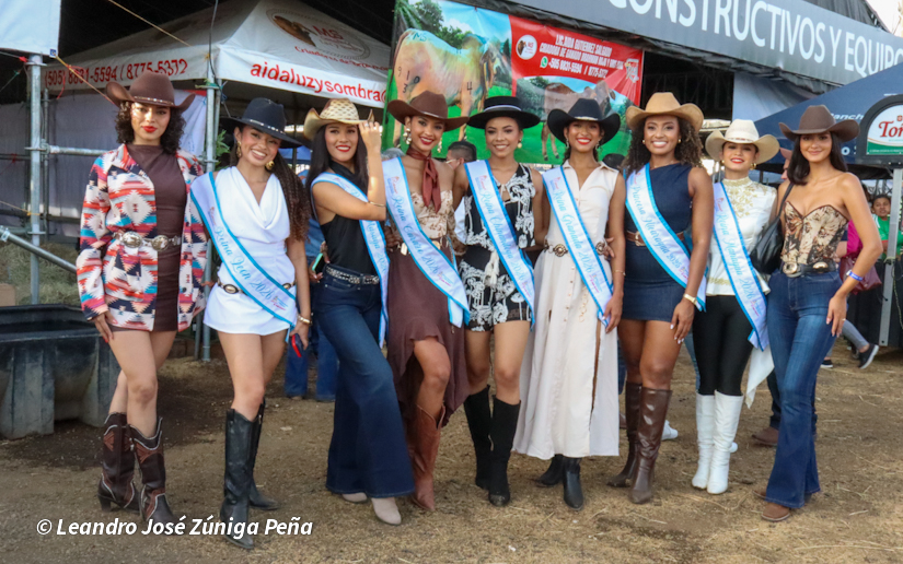 Feria--(42)