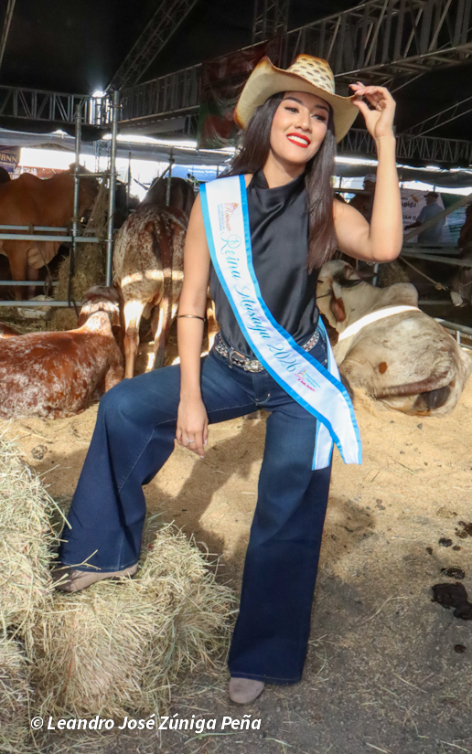 Feria--(46)