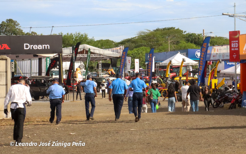 Feria--(47)
