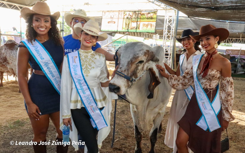 Feria--(49)