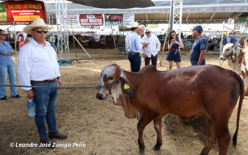 Feria--(51)