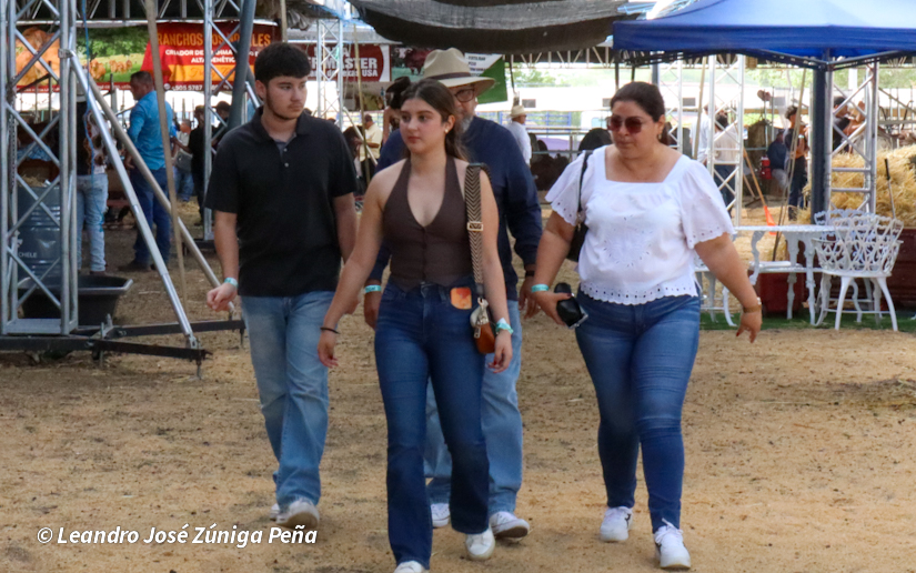 Feria--(54)