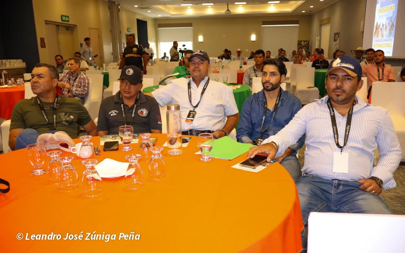 CONGRESO13