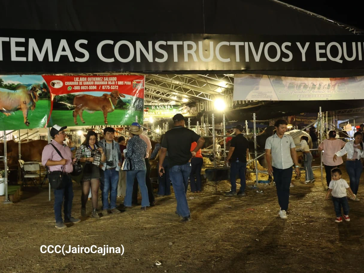 FERIA23