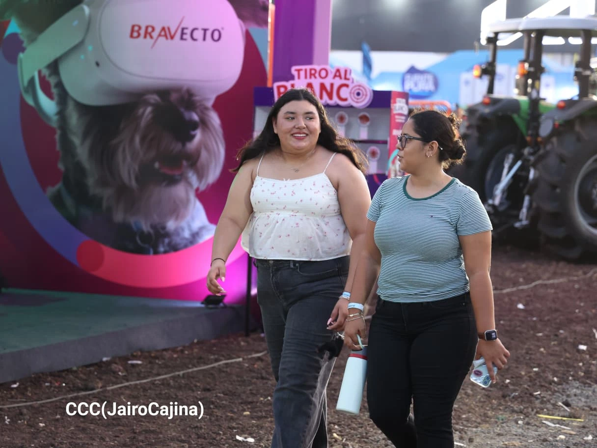 FERIA7
