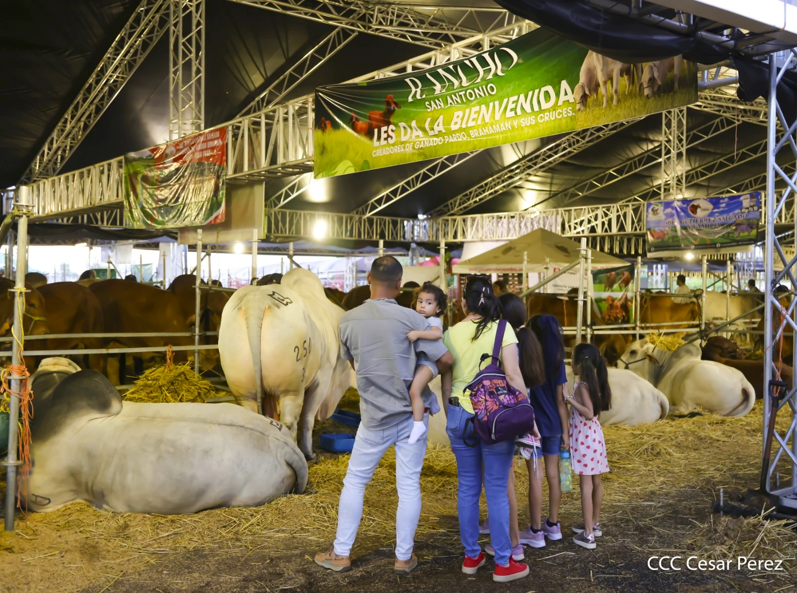 FERIA-(18)