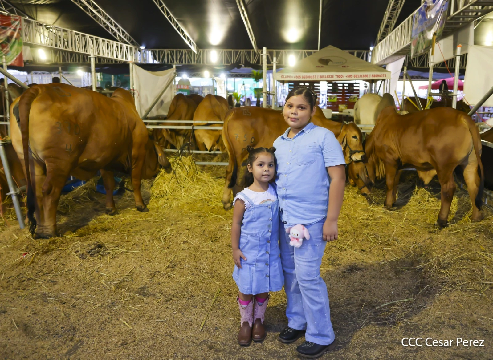 FERIA-(20)