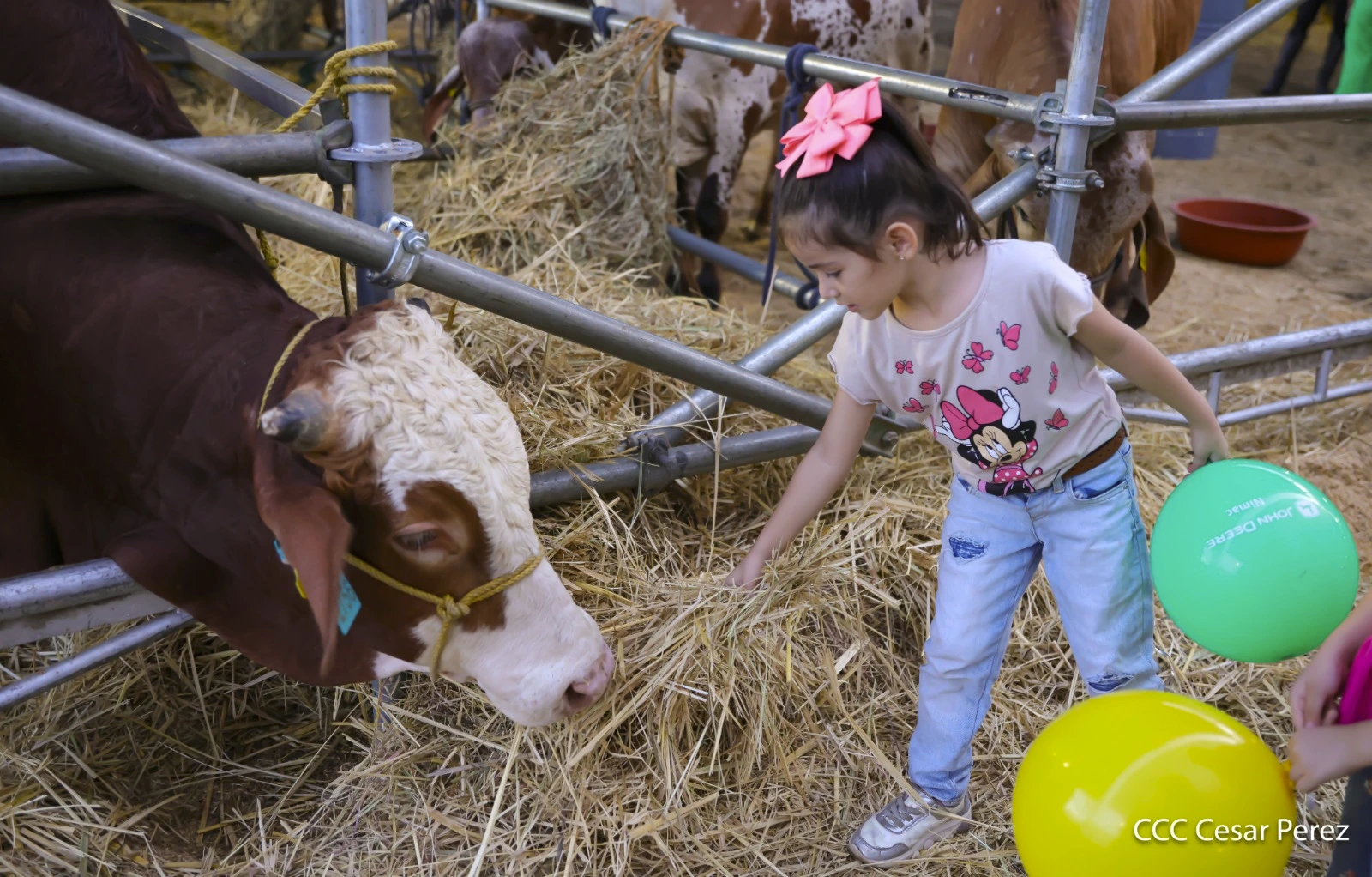 FERIA-(23)