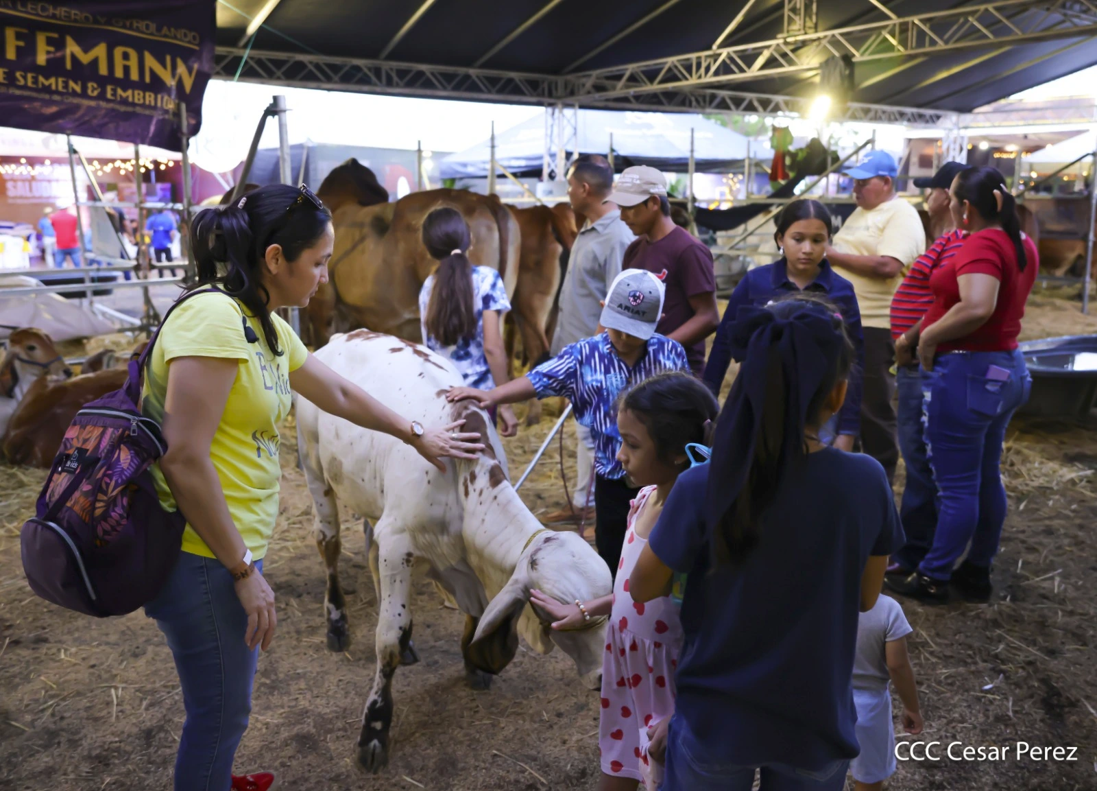 FERIA-(24)