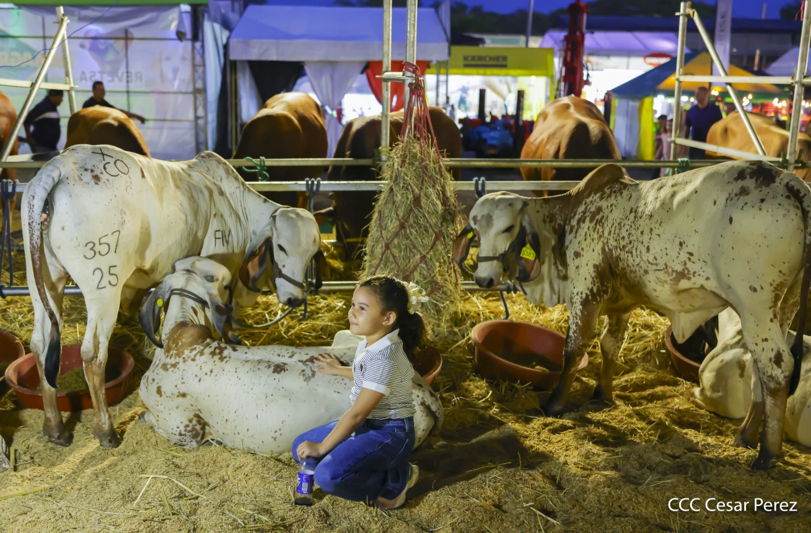 FERIA-(4)