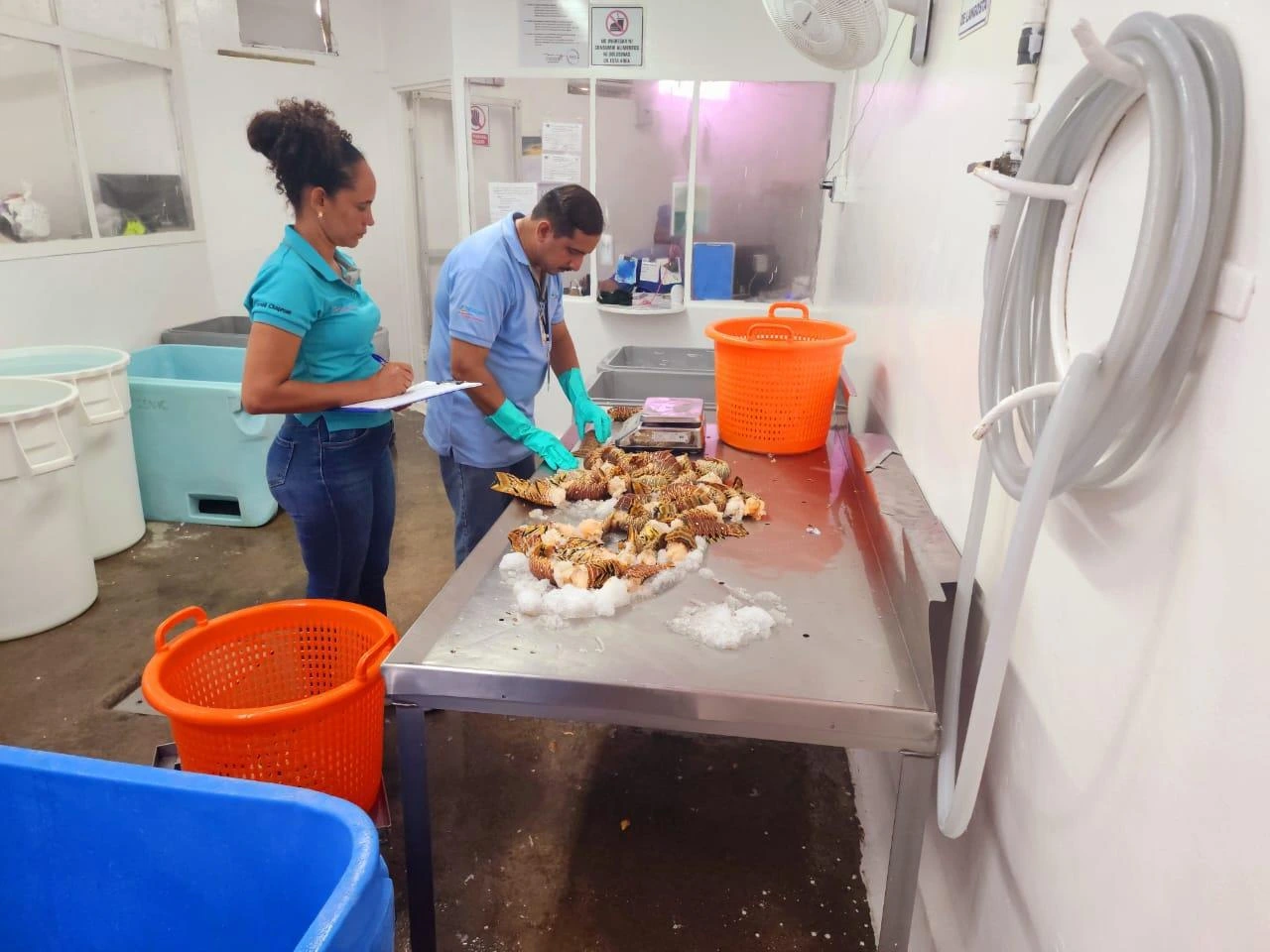 INPESCA-(12)