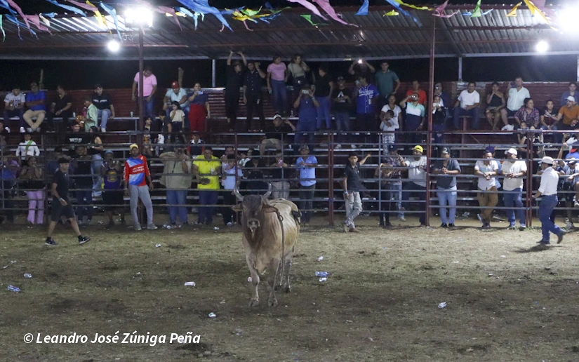 TOROS-(1)