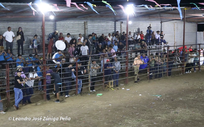 TOROS-(12)