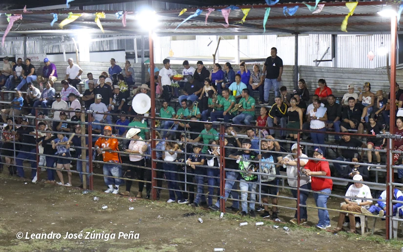 TOROS-(13)