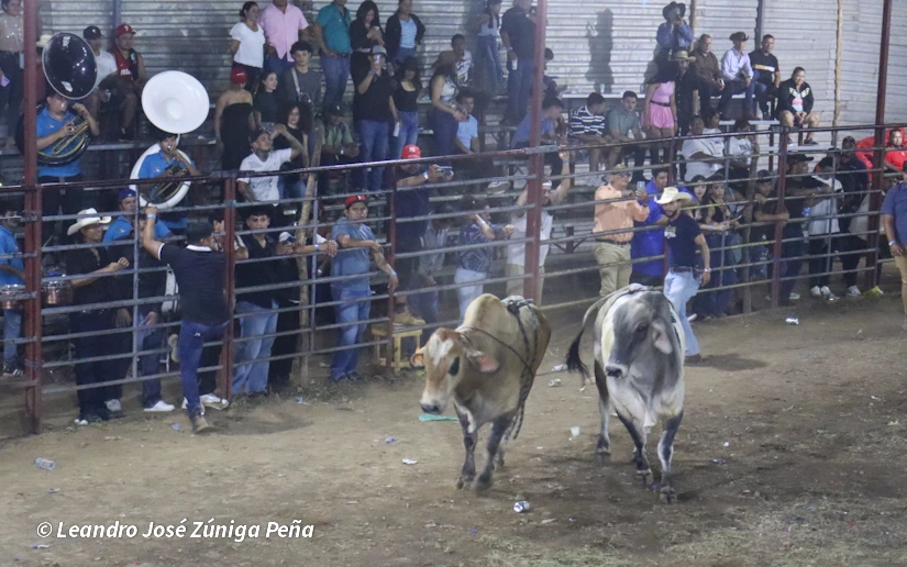 TOROS-(4)