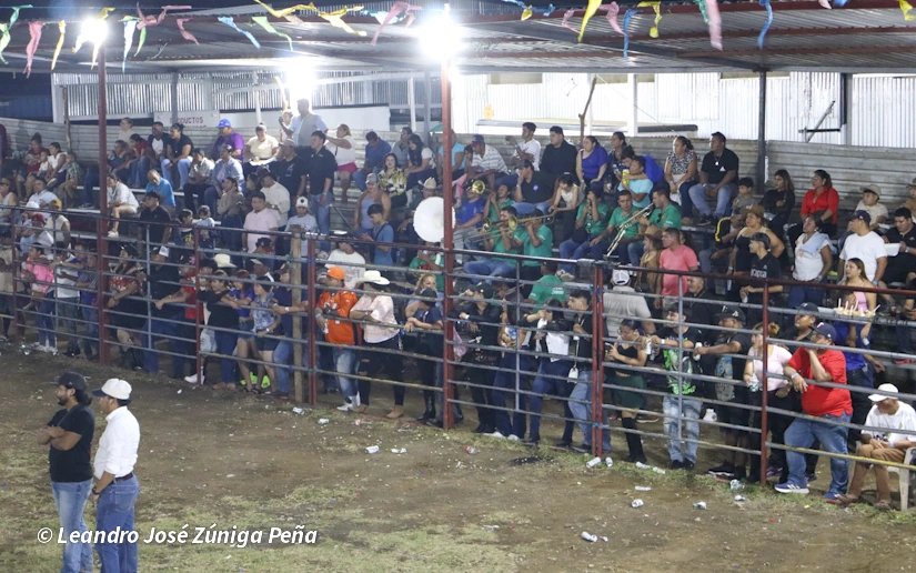 TOROS-(5)