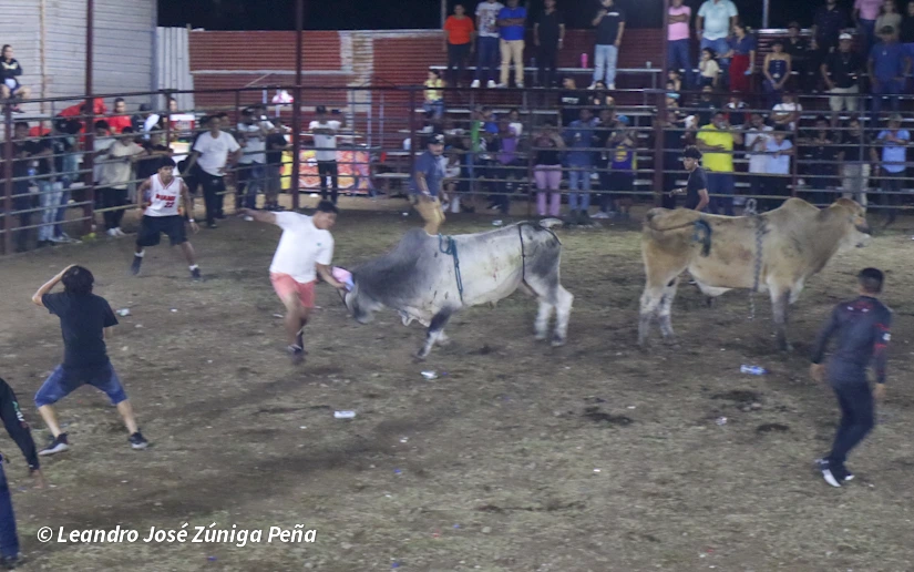 TOROS-(6)