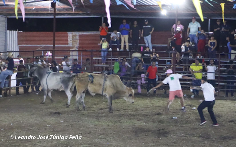 TOROS-(7)