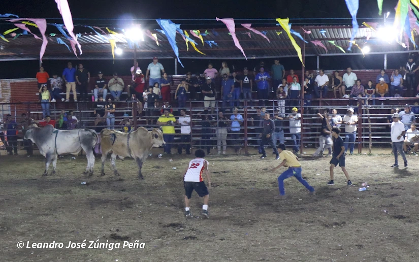 TOROS-(8)
