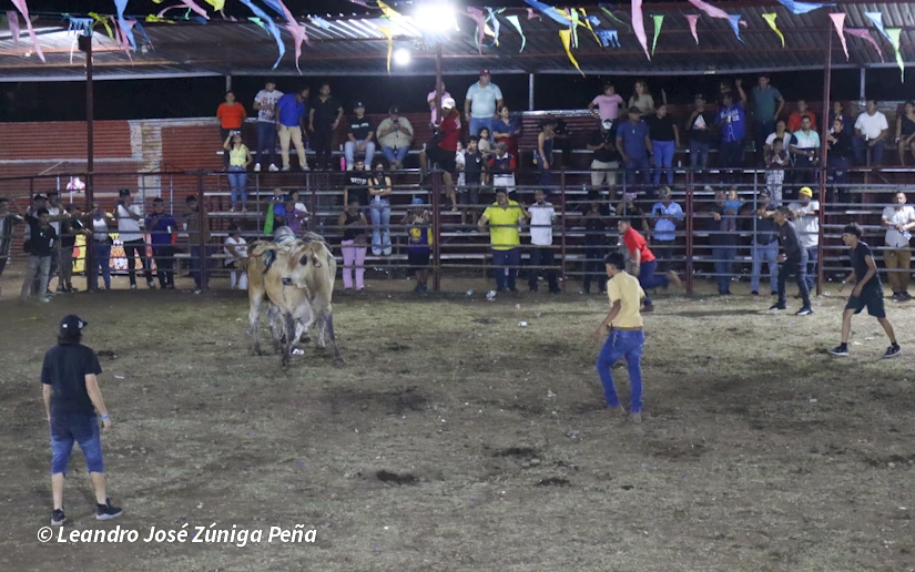 TOROS-(9)