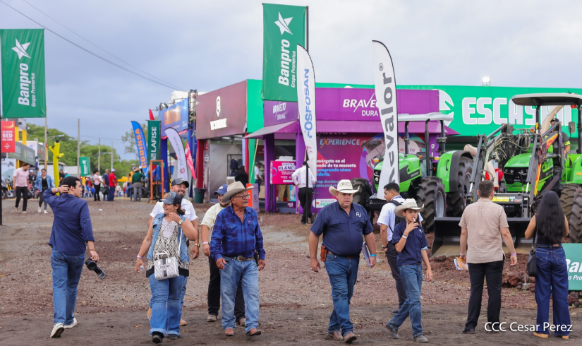 Feria--(10)