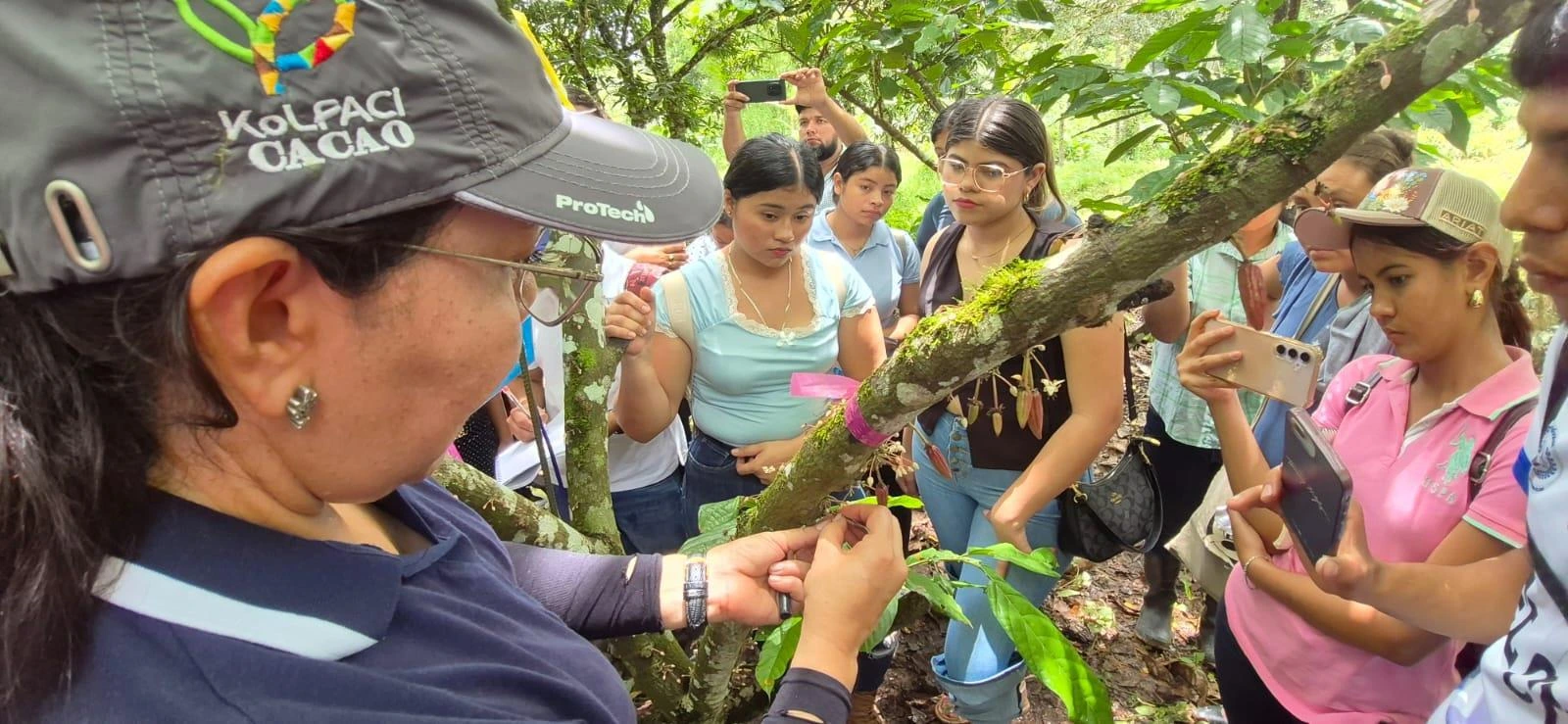 CACAO4