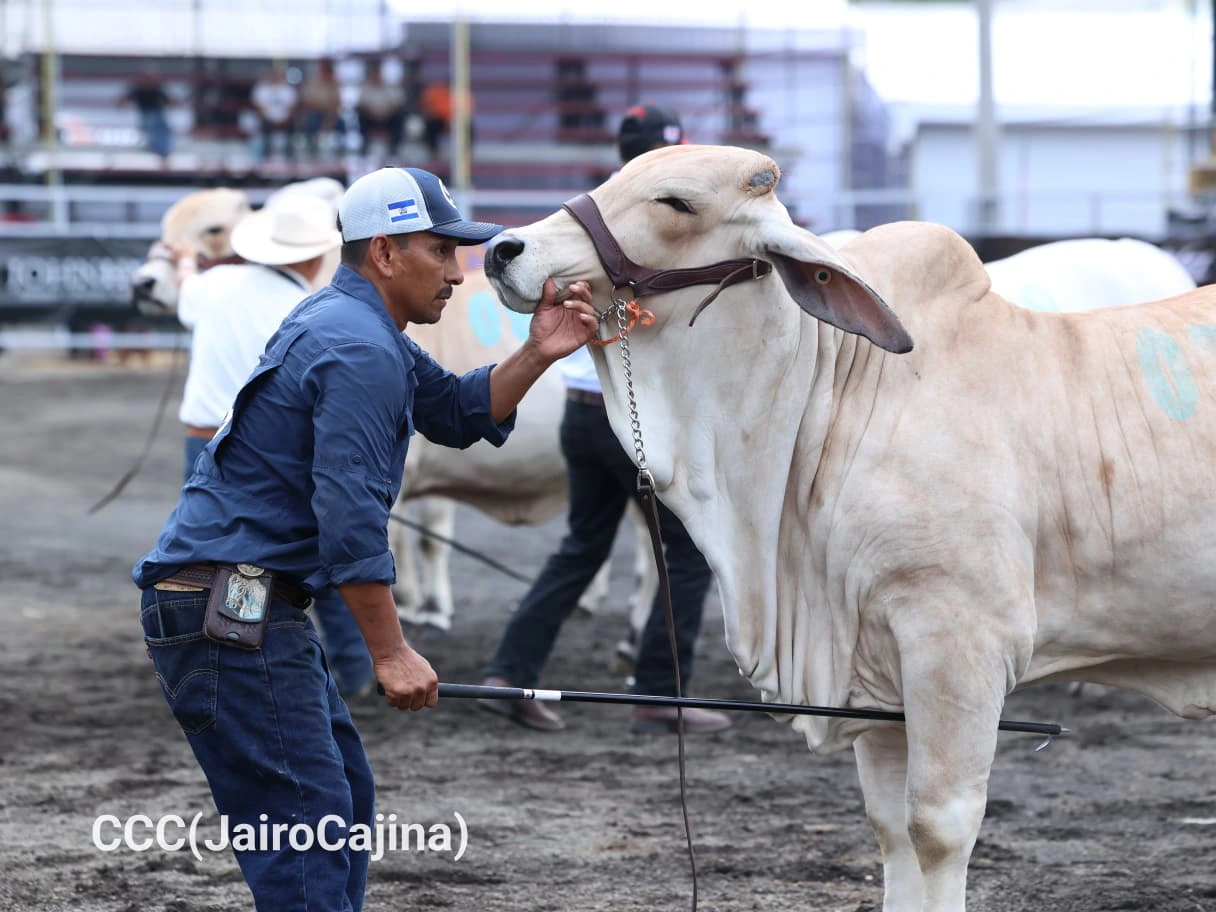 FERIA-(14)