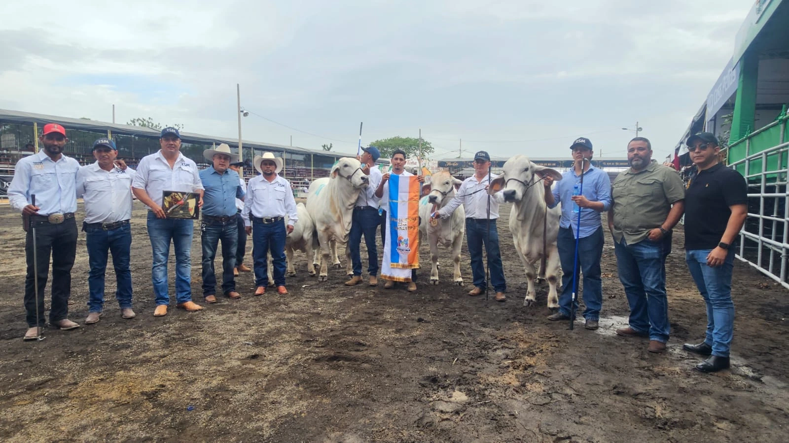 FERIA-(2)