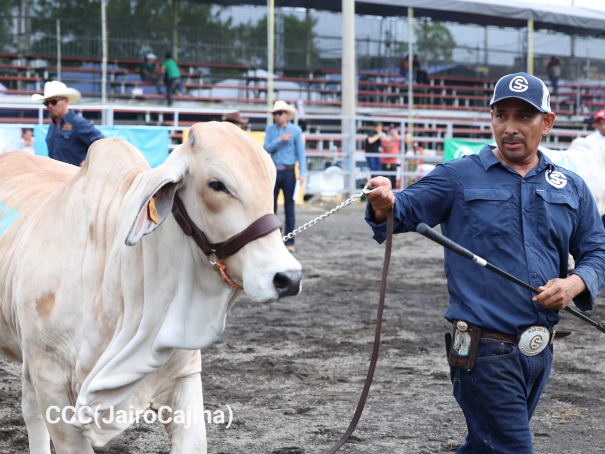 FERIA-(21)