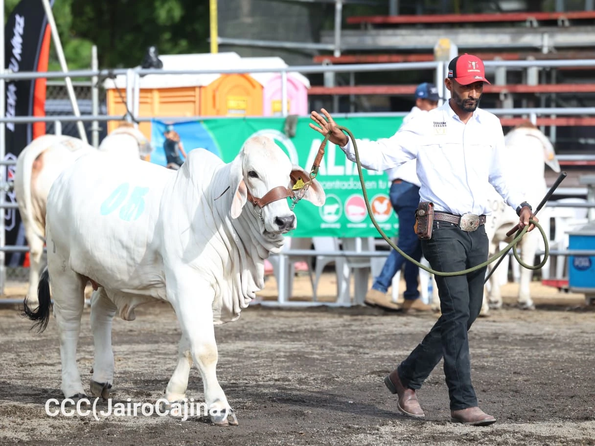 FERIA-(5)
