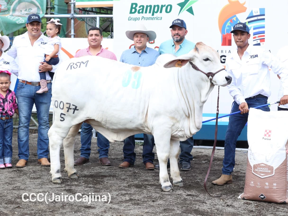 FERIA-(8)