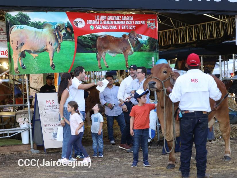 Feria-Ganadera--(10)
