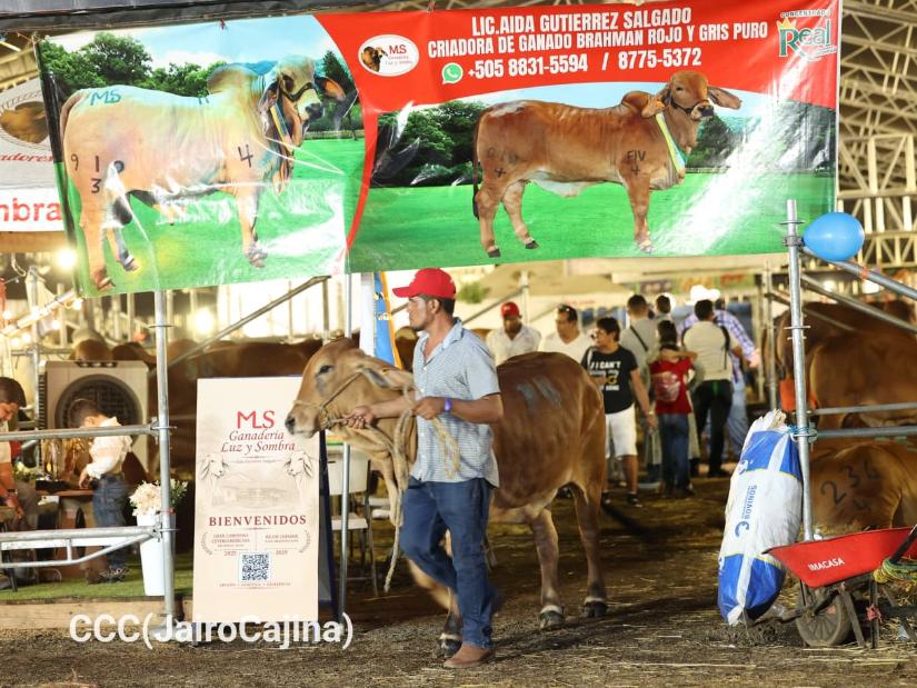 Feria-Ganadera--(24)