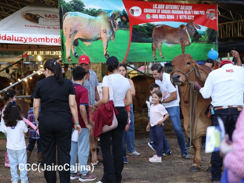 Feria-Ganadera--(7)
