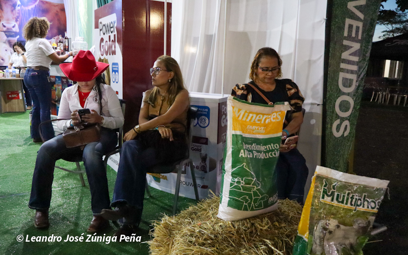 Feria--(23)