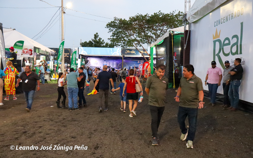 Feria--(24)