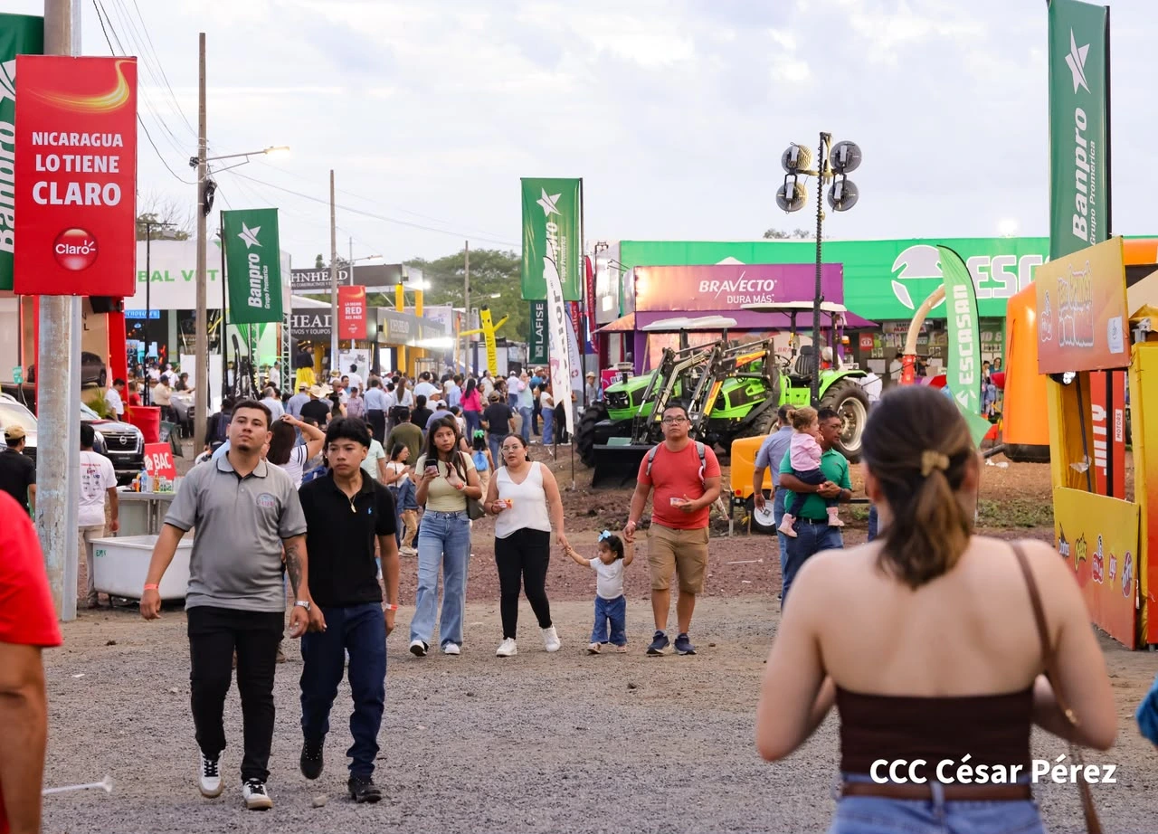 FERIA-(22)