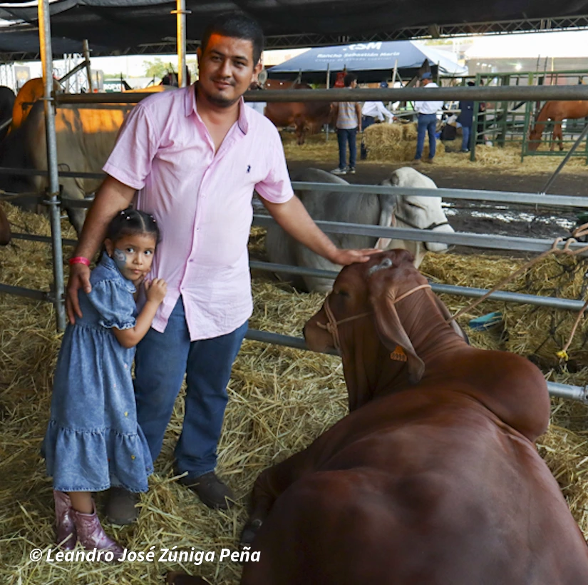FERIA-(5)