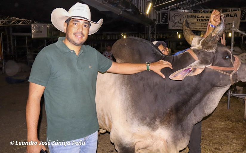 FERIA-(50)