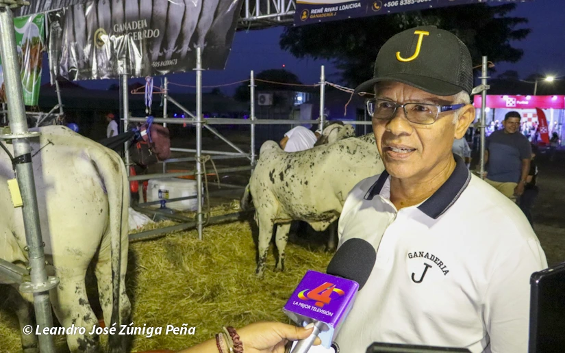 FERIA-(52)