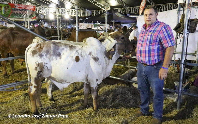 FERIA-(59)