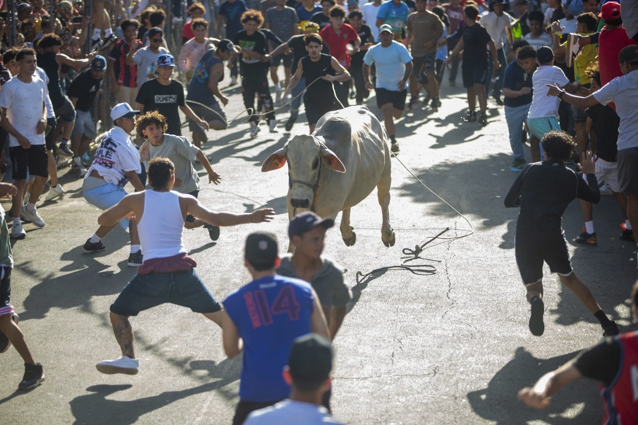TOPE-(8)