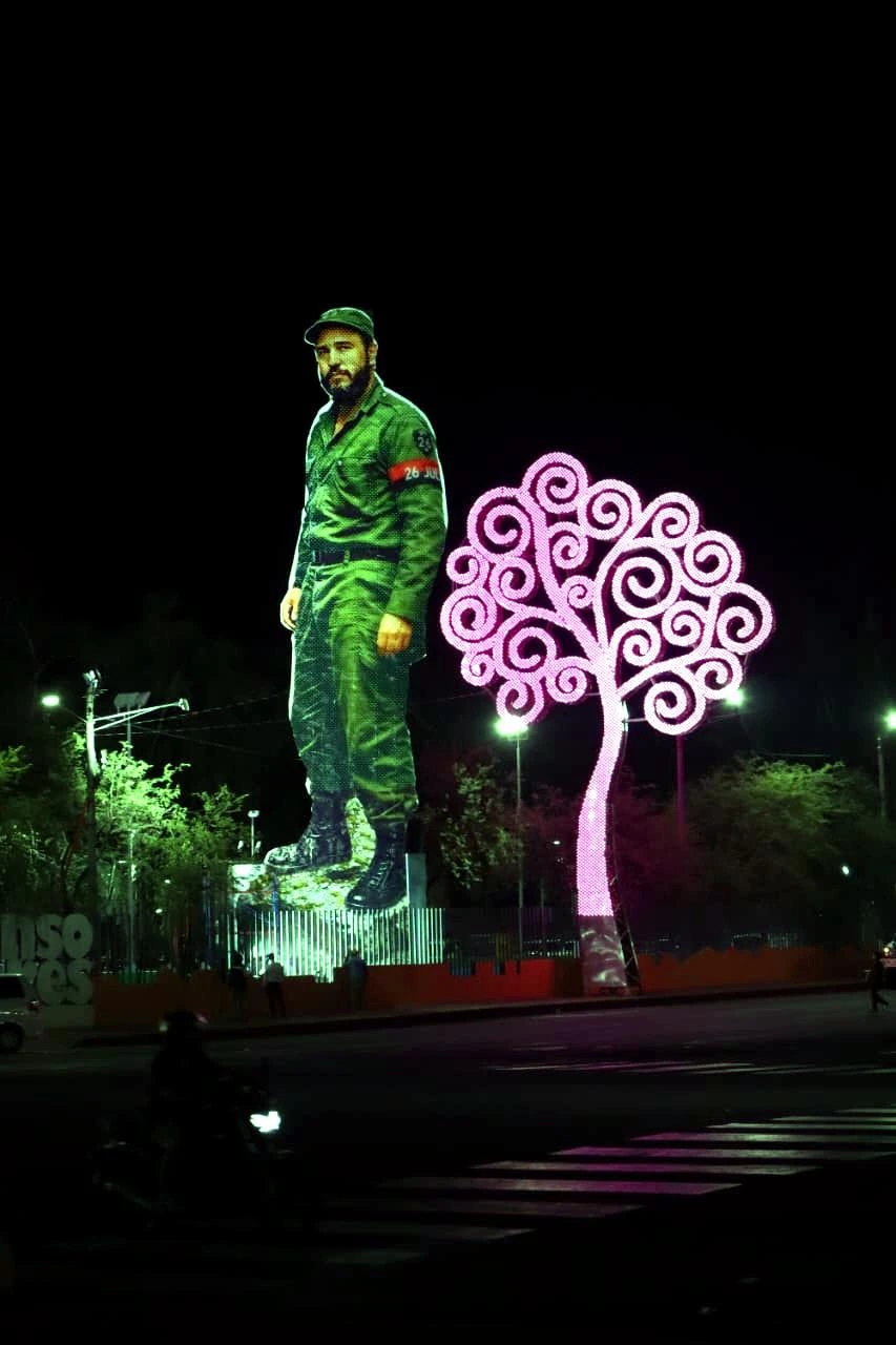 CASTRO31