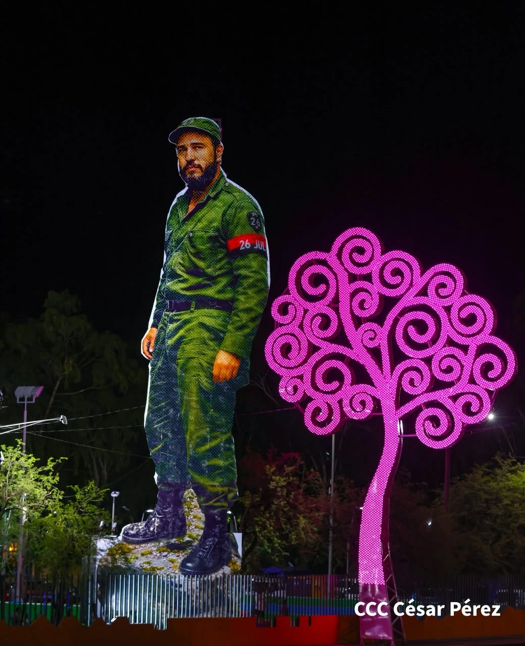 FIDEL10