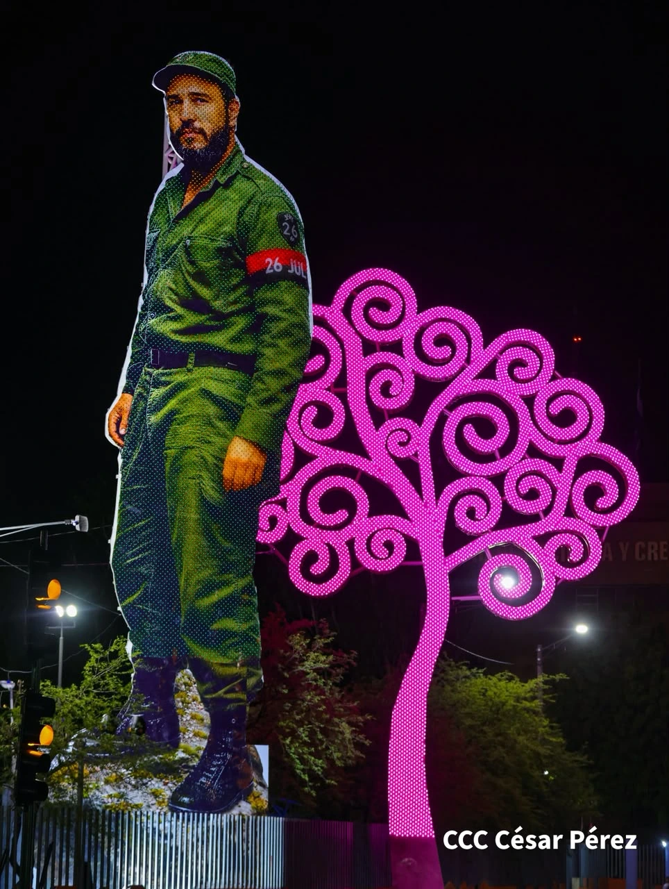 FIDEL11