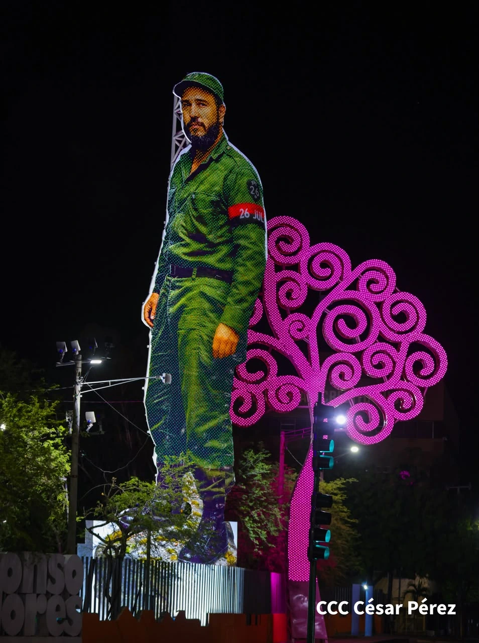 FIDEL12