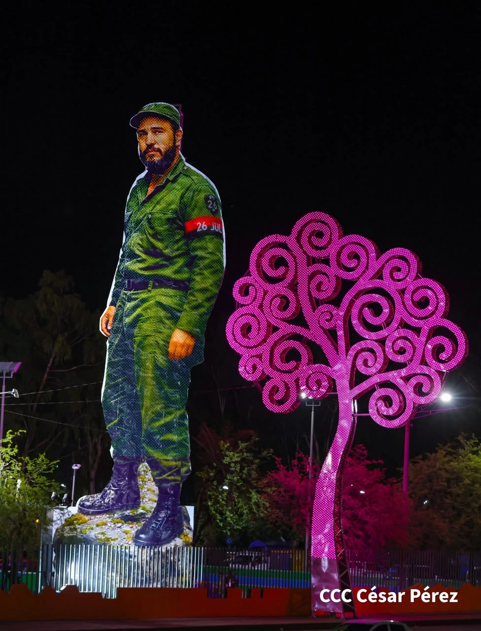 FIDEL14