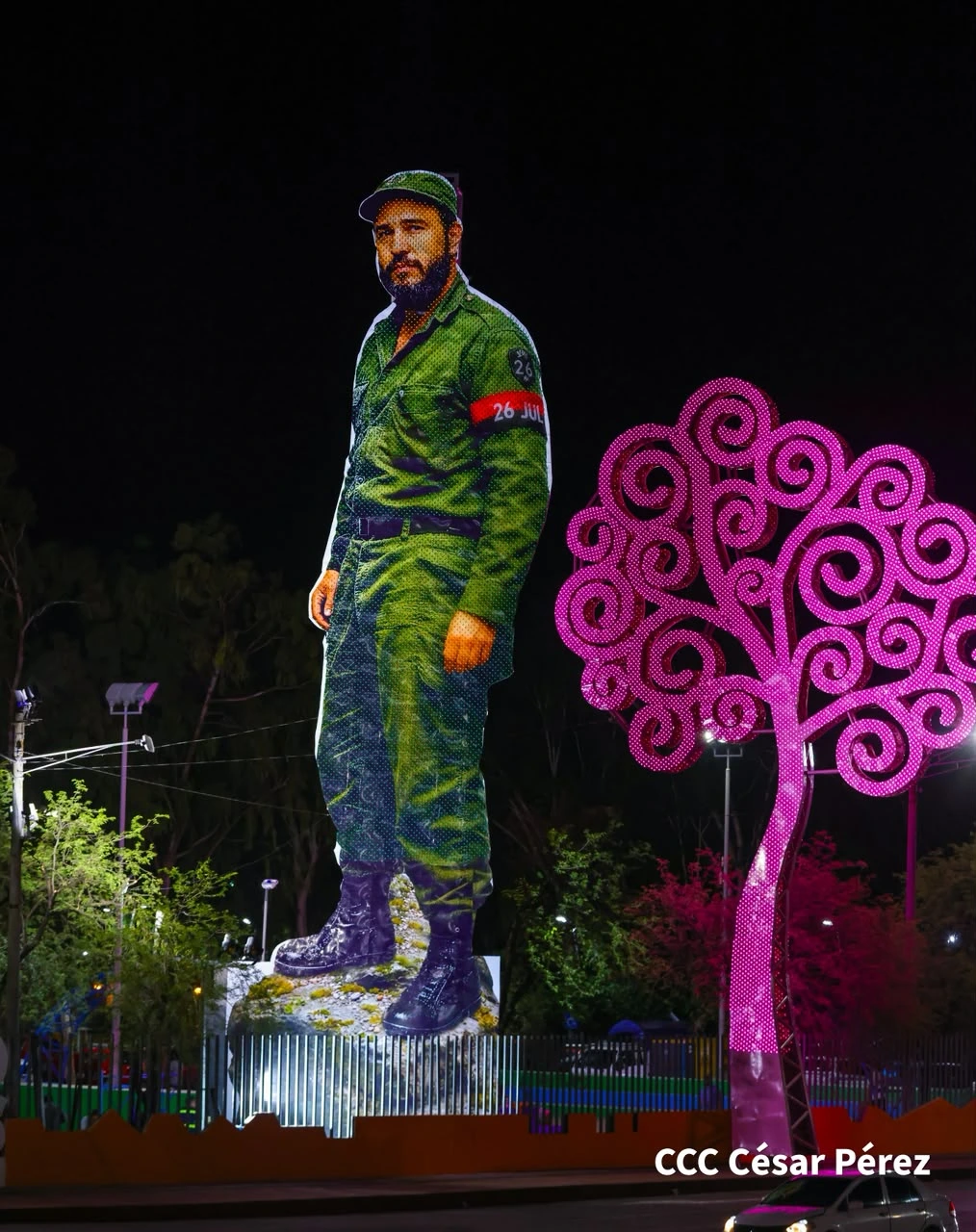 FIDEL8