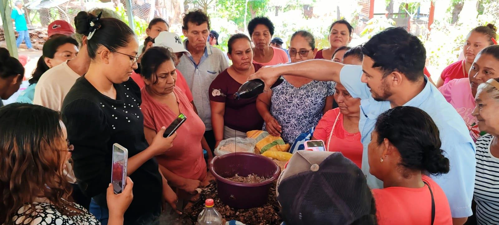 PORCINA2